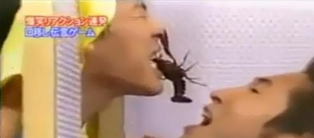 El juego nipón de pasarse anmales con la boca. El juego nipón de pasarse anmales con la boca.