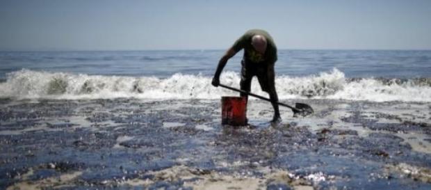 La Californie a été victime de deux marées noires. La Californie a été victime de deux marées noires.