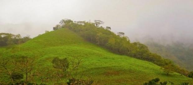 Lluvia de peces, fenómeno y ficción Lluvia de peces, fenómeno y ficción