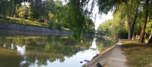Verde, Bega, porumbel, liniște Verde, Bega, porumbel, liniște