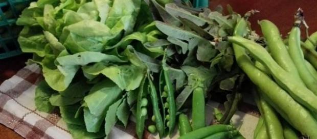 verdure di stagione per la ricetta del vignaiolo verdure di stagione per la ricetta del vignaiolo