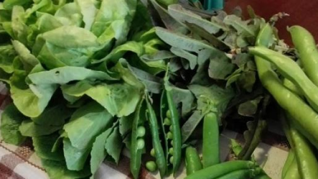 verdure di stagione per la ricetta del vignaiolo