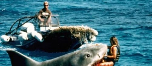 JAWS celebrates its 40th anniversary this June