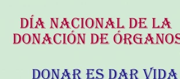 Más del 80% de la población está a favor de donar Más del 80% de la población está a favor de donar