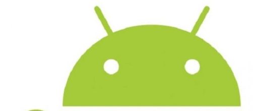 Android M arriva in Preview.