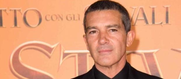 Antonio Banderas, muy enamorado de Nicole Antonio Banderas, muy enamorado de Nicole