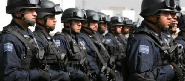 Policía de los Estados Unidos Policía de los Estados Unidos