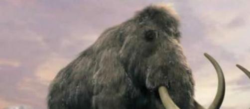 diferencia entre el mastodonte y el mamut diferencia entre el mastodonte y el mamut