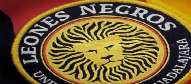 Los leones Negros, buscarán el milagro Los leones Negros, buscarán el milagro