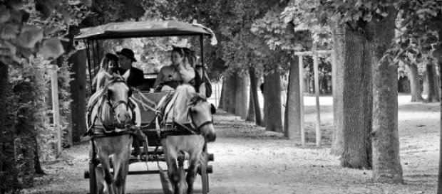 Viata ta e cu un pas în fata zonei de confort. Viata ta e cu un pas în fata zonei de confort.