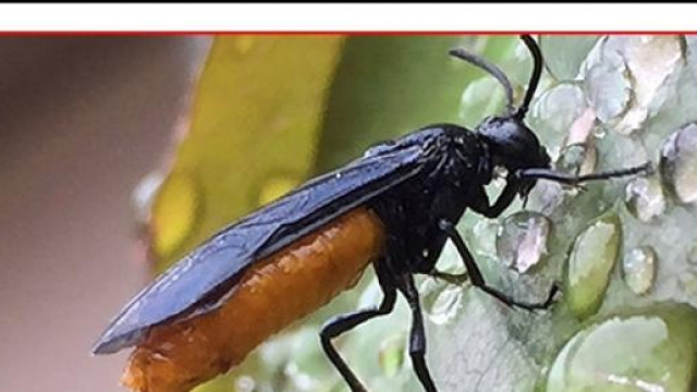 Ripresa economica a portata di mano