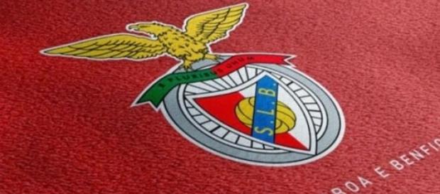 A equipa do Benfica já está no mercado. A equipa do Benfica já está no mercado.