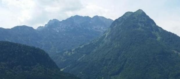 Dorul te împinge să faci gesturi frumoase. Dorul te împinge să faci gesturi frumoase.