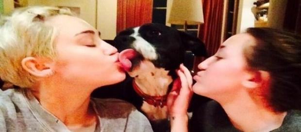 Miley Cyrus wechselt gerne mal das Ufer Miley Cyrus wechselt gerne mal das Ufer