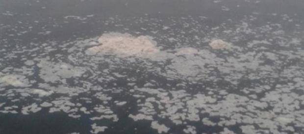 Rio Tejo em Abrantes esta quarta-feira, 6 de Maio Rio Tejo em Abrantes esta quarta-feira, 6 de Maio