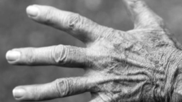 Rimborso pensioni, informazioni e novità al 6/5