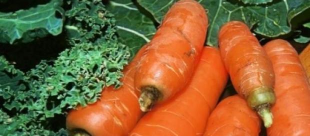 Fii vegetarian măcar o zi pe săptămână Fii vegetarian măcar o zi pe săptămână