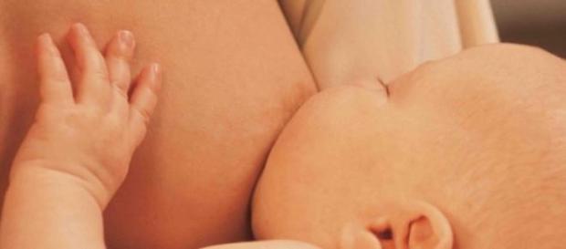 Nada como la leche de mamá Nada como la leche de mamá