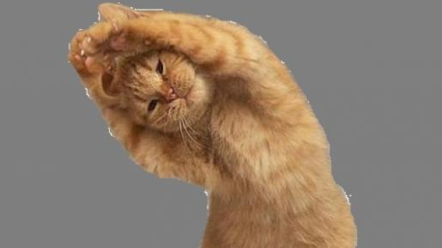 Alcune fotografie degli utenti