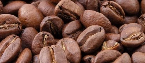 Fondi di caffè dai mille usi cosmetici e naturali