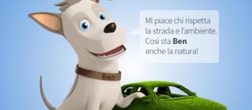 Il cagnolino Ben, mascotte dell'assicurazione