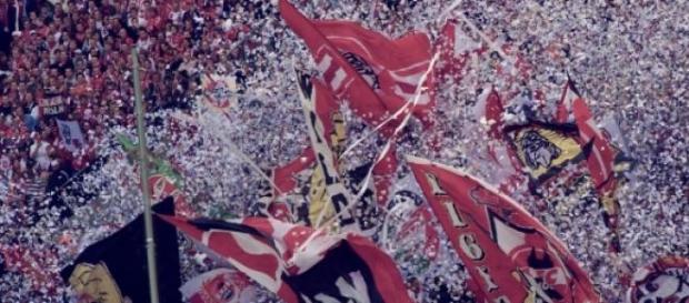 Köln gegen Schalke - Superstimmung garantiert! Köln gegen Schalke - Superstimmung garantiert!