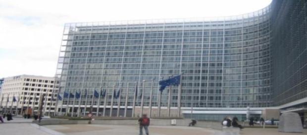 La Commissione Europea si esprime sul caso Xylella La Commissione Europea si esprime sul caso Xylella