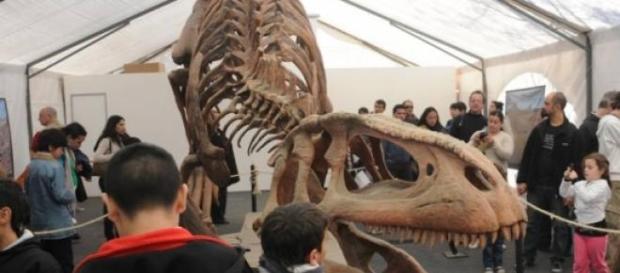 La muestra de dinosaurios, imperdible La muestra de dinosaurios, imperdible
