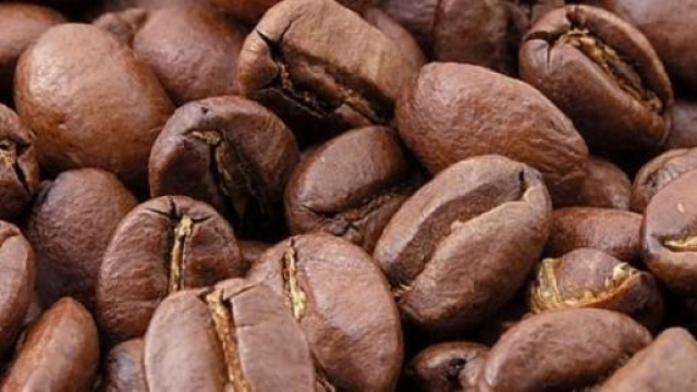 Fondi di caffè dai mille usi cosmetici e naturali