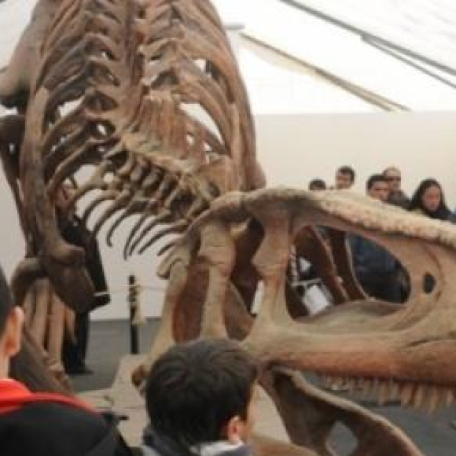 La muestra de dinosaurios, imperdible