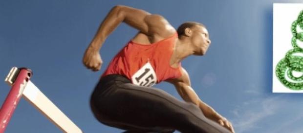 Algas para deportistas y la salud Algas para deportistas y la salud