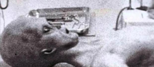 Il corpo dell'alieno nel filmato di Roswell Il corpo dell'alieno nel filmato di Roswell