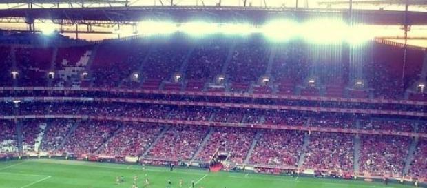 SL Benfica pode sagrar-se campeão nacional SL Benfica pode sagrar-se campeão nacional