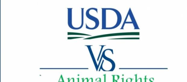 USDA vs. Animal Rights Movement USDA vs. Animal Rights Movement
