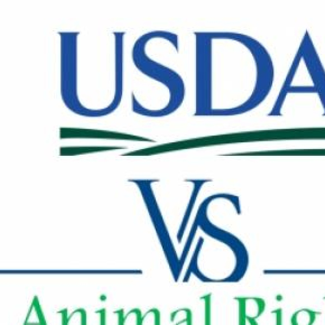 USDA vs. Animal Rights Movement