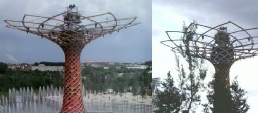 L'Albero della Vita di Expo 2015