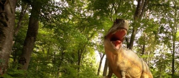 45 de dinozauri în mărime naturală 45 de dinozauri în mărime naturală