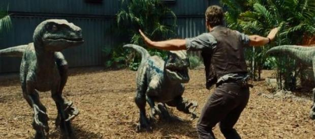 Chris Pratt tames the Velociraptors Chris Pratt tames the Velociraptors