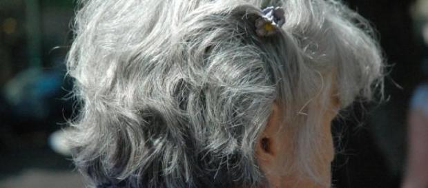 Pensioni anticipate, giugno decisivo per riforma Pensioni anticipate, giugno decisivo per riforma
