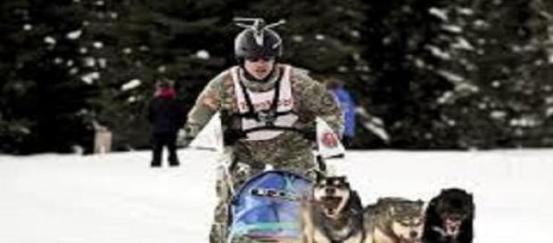 Los deportes con perros van creciendo en el mundo Los deportes con perros van creciendo en el mundo