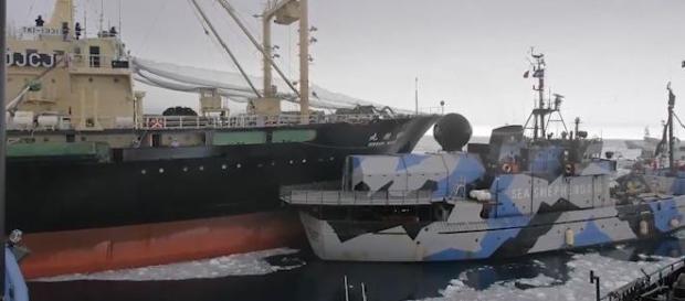 Sea Shepherd collides with JICR Research Vessel Sea Shepherd collides with JICR Research Vessel