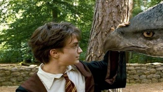 Gli animali fantastici: dove trovarli