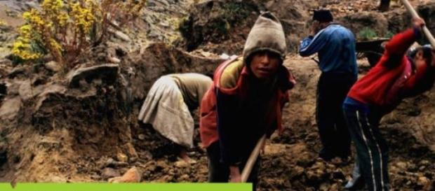 Los niños que trabajan son 168 millones. Los niños que trabajan son 168 millones.