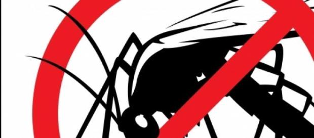 No a los mosquitos este verano No a los mosquitos este verano