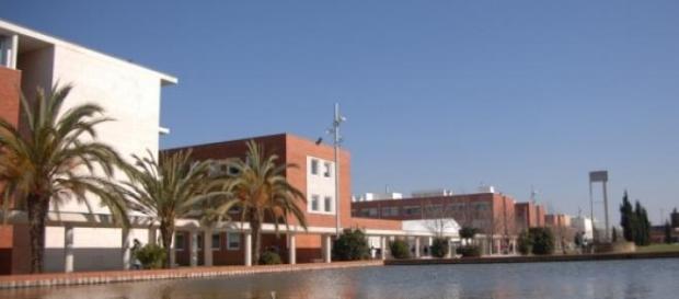 Universidade de Aveiro (UA) Universidade de Aveiro (UA)