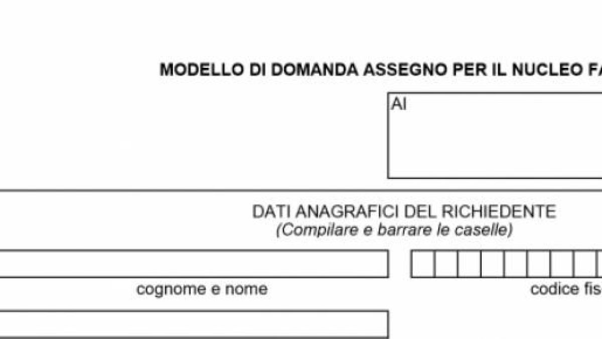 Esempio Modulo Assegni Familiari Compilato