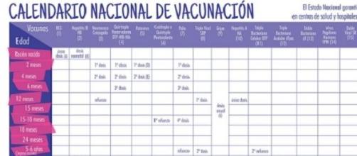 importancia del Cronograma de Vacunación