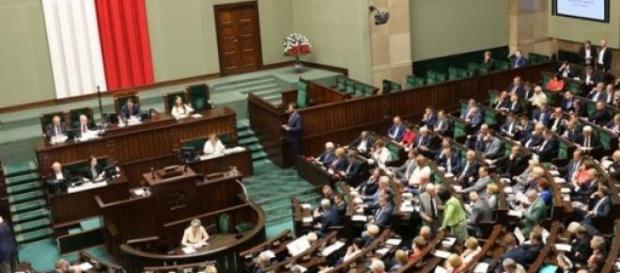 fot. Krzysztof Białoskórski fot. Krzysztof Białoskórski