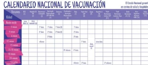 importancia del Cronograma de Vacunación importancia del Cronograma de Vacunación