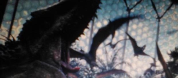 Mignon petit dinosaure... Mignon petit dinosaure...